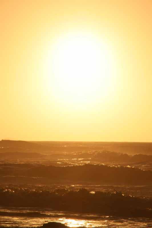 Nieuw-Zeeland 2011 - 1365
